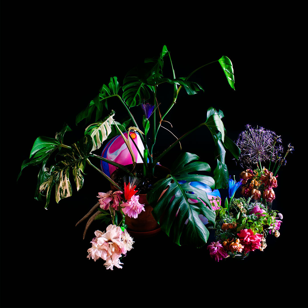 davidworthingtonphoto:  Still Life: Monstera, Balloons, Birthday Flowers 