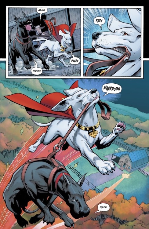 wonderstrevors:There’s nothing more beautiful than Krypto and Titus friendship.