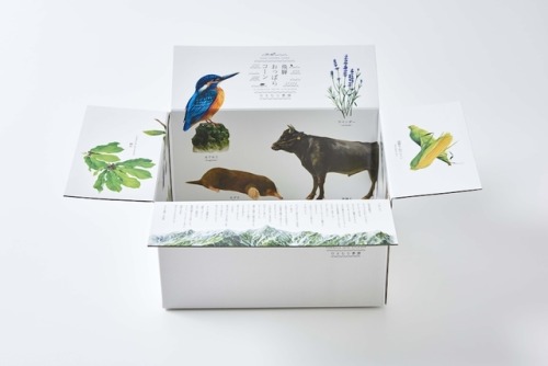 Organic corn packaging designed by Kojima Kozue and illustrator Kihara Misaki 