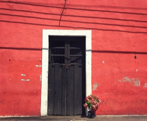 Puertas de Yucatán, Cholul #yucatan #puertasyventanas #puertasdeyucatan #amoyucatan (en Comisaría Ch