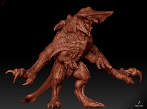 Knifehead Appreciation Post