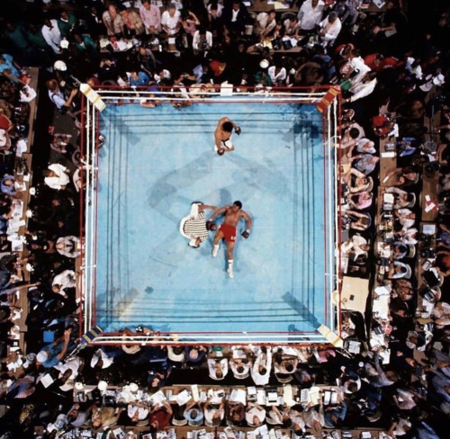 ee7:Over head knockouts from Muhammad Ali