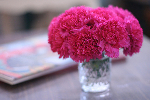 Enjoy my blog . . .