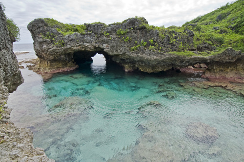 travelingcolors:  Limu Pools, Niue | New Zealand (by MissJusteen)