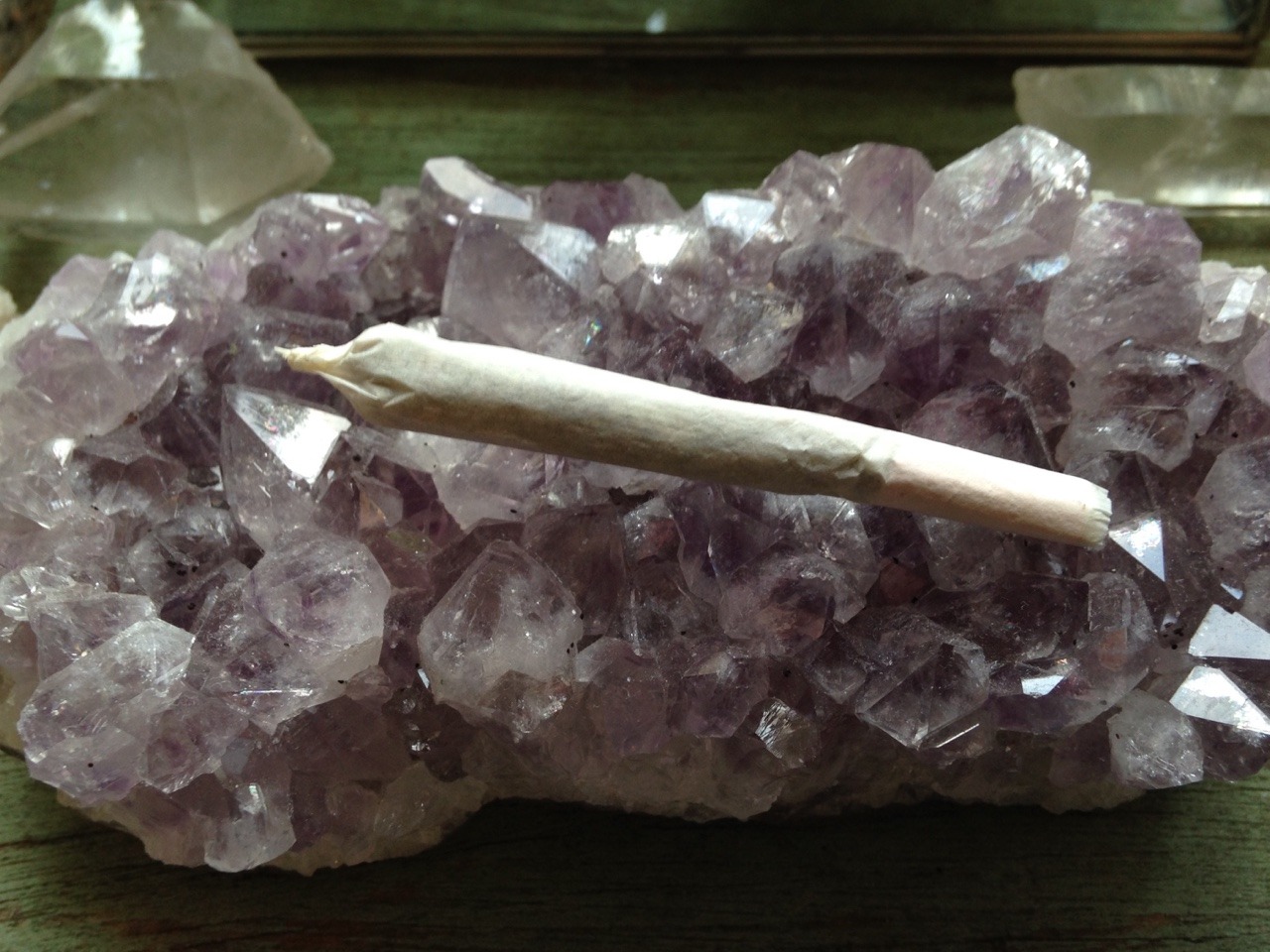 floralwaterwitch:  ~ letting this little jay charge on an amethyst cluster for extra