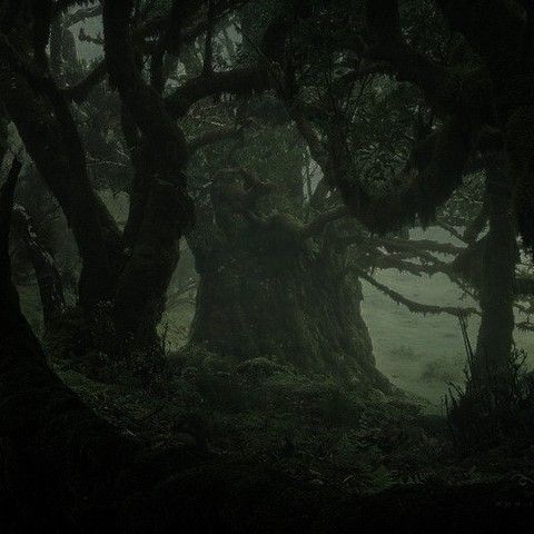 XXX Dark forest, glow of the lake, an eternal photo