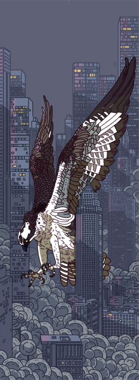 haydenmaynard:‘Diving Osprey’ - Part 5 of the Urban Forest series!