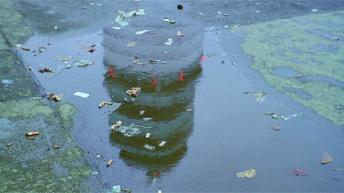 florencepugh:Museum Hours (2012) dir. Jem Cohen.