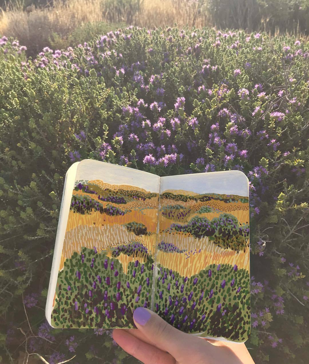 ohkiistudio:Fields of purple and gold 