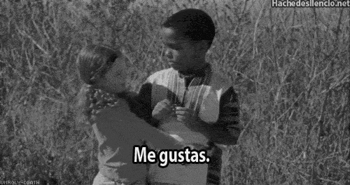soyeliojose:  JAJAJAJA:c