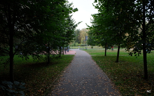 Paths of autumn.