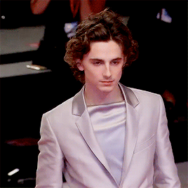 timotheechalmet:Timothée Chalamet on the red carpet for The King during the 76th Venice Film Festiva