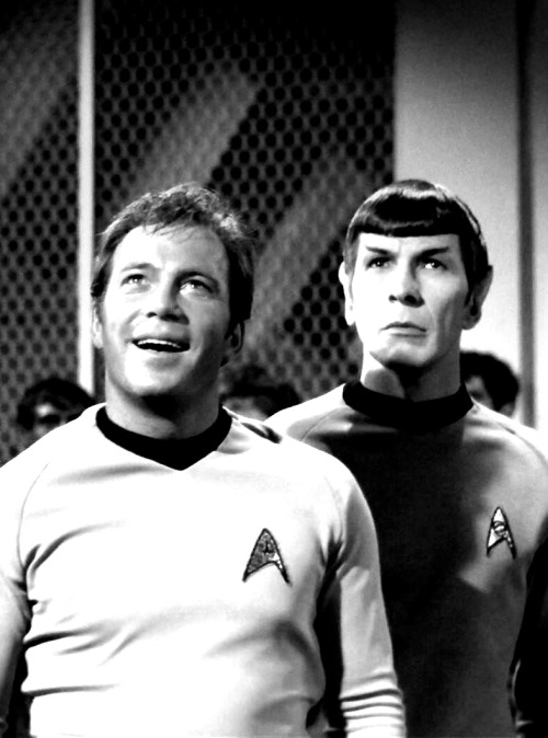 spirk