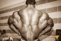 steadymirin:  bustinsleeves:  mitos:  Roelly