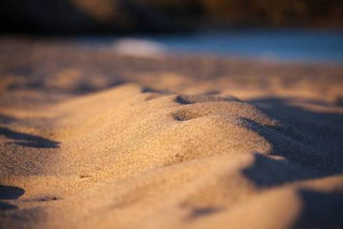 Arkiv #beach #canonphotography #sand #vestfold #goldenhour #landscape (ved KNA Oddane Sand Camping)