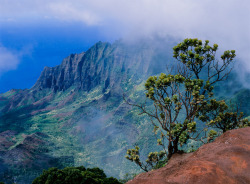 palm:   	Na Pali by JaZ99wro    	