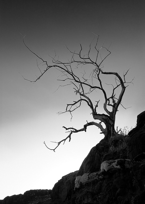 fabulouslyfreespirited:  &ldquo;Story of a Ghost&rdquo; by afeinbergphotography