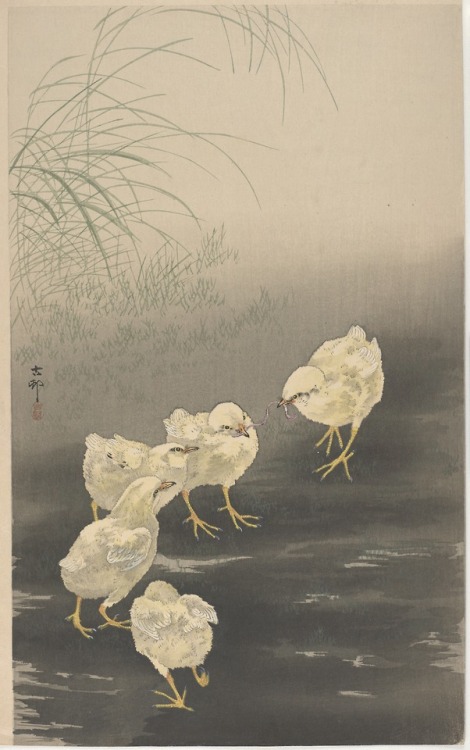 Ohara Koson, Chicks and a worm, 1st half 20th century (source).
