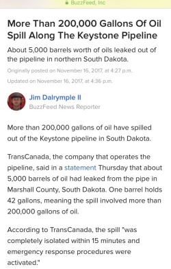 reverseracism:God…  I wonder if anyone ever raised any concerns about oil spills and pipeline leaks near sacred land and drinking water before they constructed this extremely popular pipeline&hellip;.