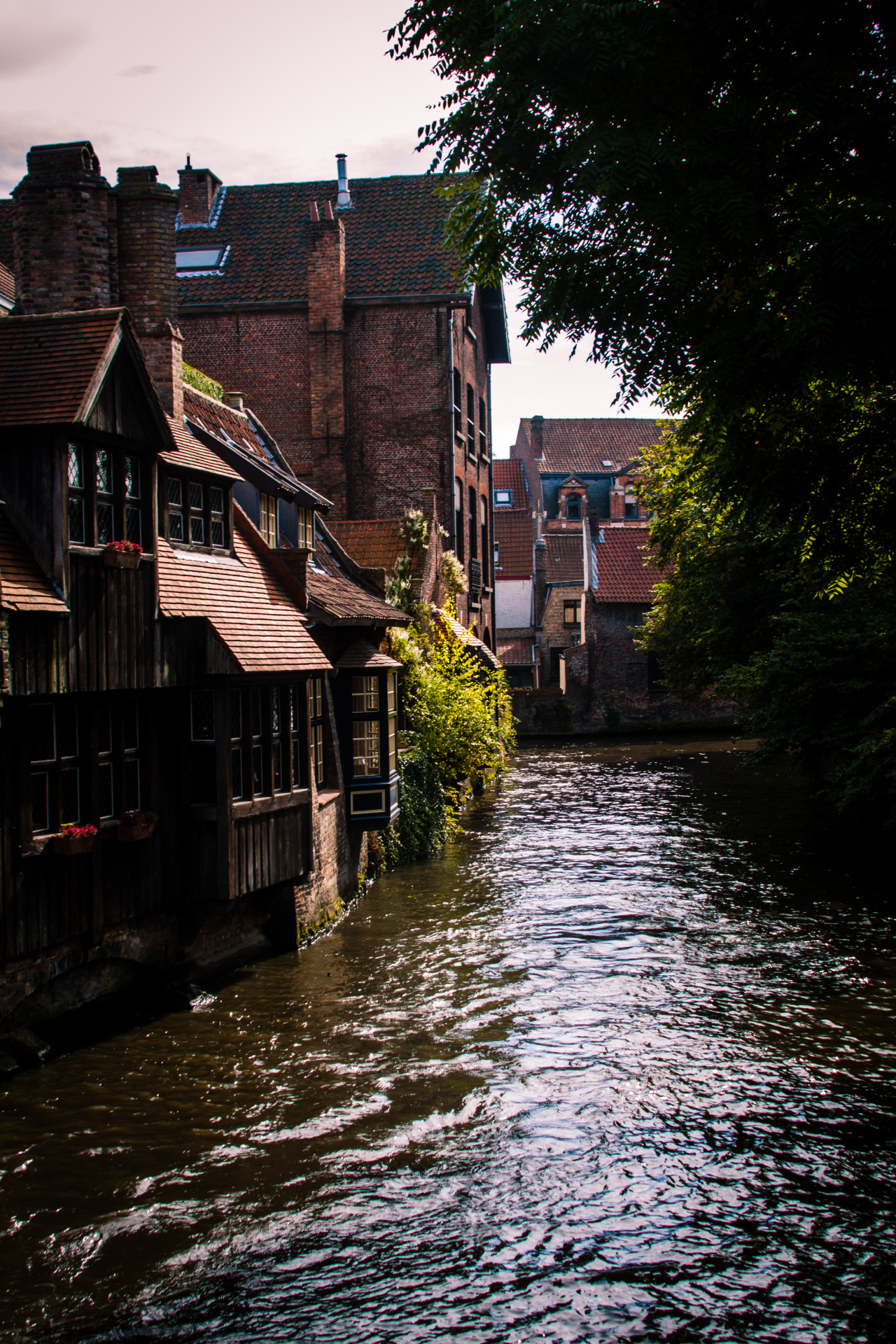 singlestepphotography:  &lsquo;Canal Tour&rsquo; - Brugge, Belgium By Single