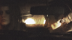//waste the night//