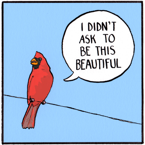 falseknees:An #oldknees remastered!