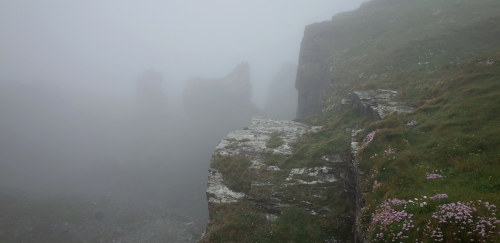 foggy clifftop. by sandilands villa