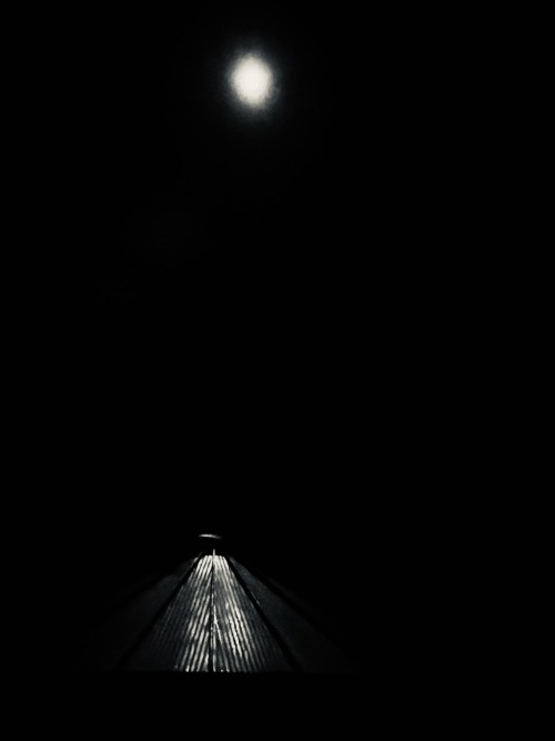 W A T C H F U L . . .