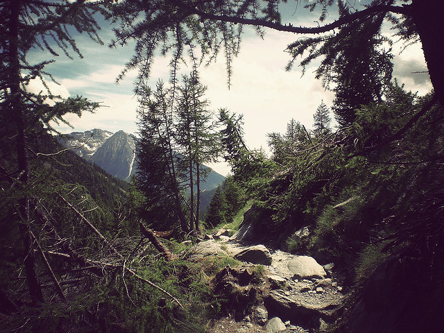 brutalgeneration:  5 by Eclairs - Davide Bignotti on Flickr. 