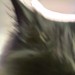 wizal:oh fuckhe is comingn….UUAAAAAAAGGGGHhi