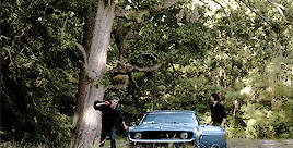 inadobrev:dans le trac amoureux, j’ai peur de ma propre destruction / in the anguish of love, i am a