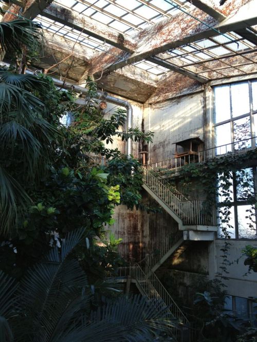 syl-design: Abandoned Botanic garden in Kichijo-ji, Tokyo
