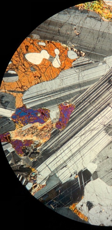 optical-mineralogy:AnorthositePlagioclase Feldspar (polysynthetic twinning)Clinopyroxene