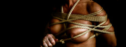 southernsir:  Shibari Saturday 