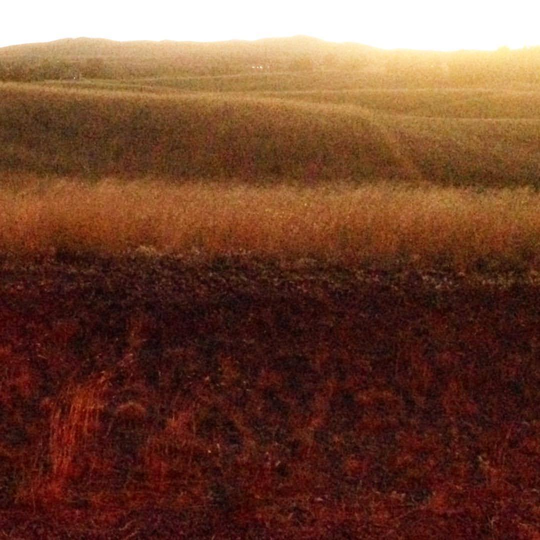 #sunset in the #taillights #sonoita #arizona #nightview