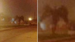 ectobiologist: unexplained-events:  Strange Sighting This strange picture has been going viral on FB. It was uploaded by user Richard Christianson and it shows a shadowy figure with what looks like wings and horns.   shes here 