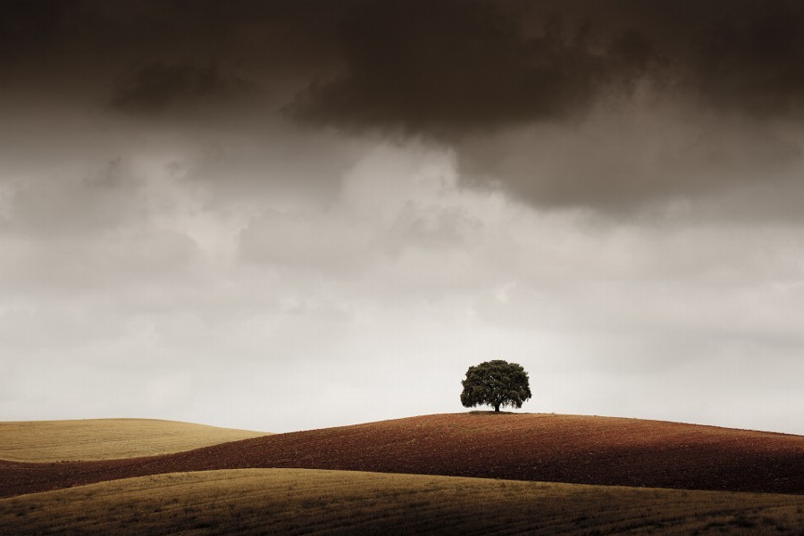 whitenoten:     Tuve que Pararme al Verla by albertomerchan 