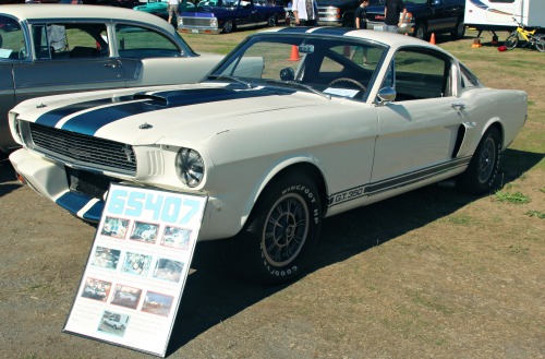 francescolt:   G.T.  350