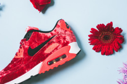 fruithoe:  dunk360:  Nike Air Max 90 Anniversary