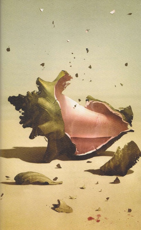 likeafieldmouse:  Sam Weber - Lord of the Flies (2009) 