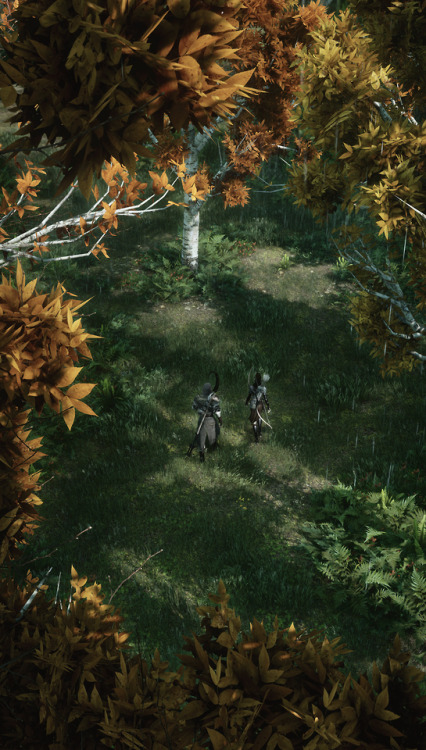 niceguar: Dragon Age Inquisition: A small walk. Westridge, the Storm Coast. High-res.Please, check m