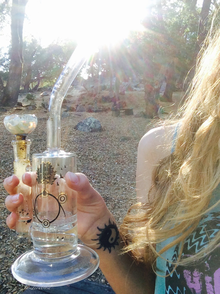 insideoutrose:  Sunshine, Herb, and nature 🍂☀️ 