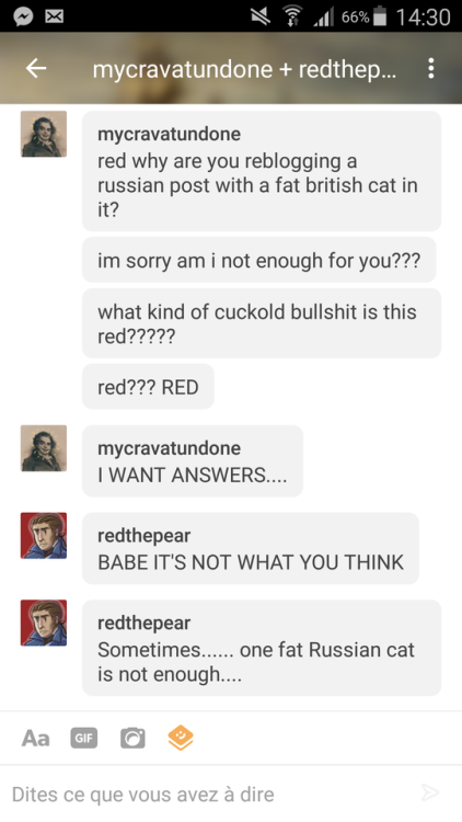 redthepear:Hot drama in the fat Russian British Shorthair fandom ft. @mycravatundone being a jealous