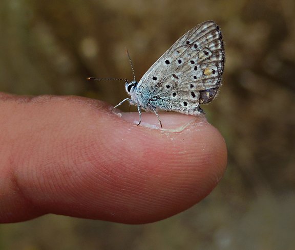 nubbsgalore: photos by mehmet karaca  