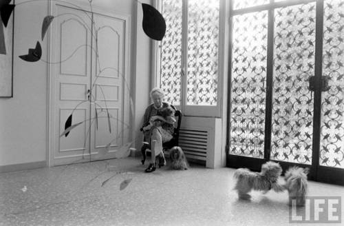 Peggy Guggenheim with her art and her dogs (Carlo Bavagnoli. 1965)