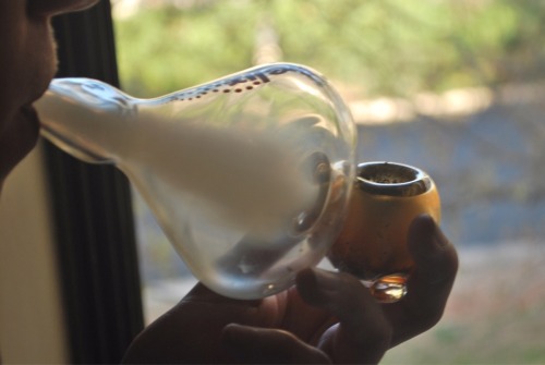 reddlr-trees:  A cool pic of my buds helix