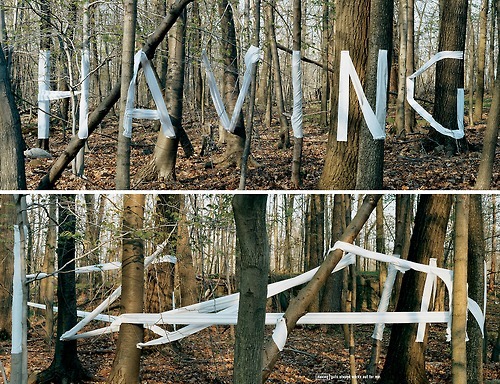 platea:  Having Guts Always Works Out For Me by Bela Borsodi in collaboration with Sagmeister Inc. 
