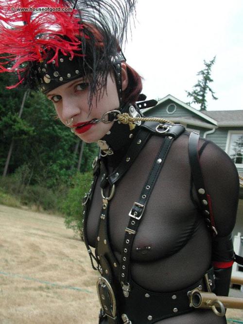 zenharness:  pony-play-without-limits:  I adult photos