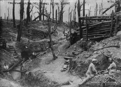 historicaltimes:  A battlefield with trenches and dead trees in the wood called Des Fermes in the Somme, c.1916 via reddit Keep reading