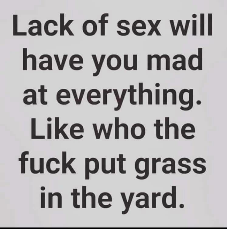 thecuriousgirl:  littlewhiskeybird: Seriously. Lol  HAHAHA!